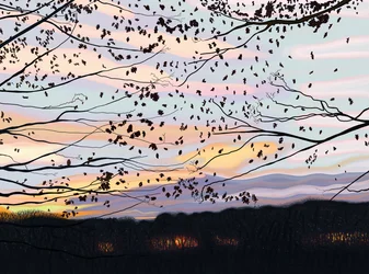Hawk On Branch, prospect park (digital kunst)