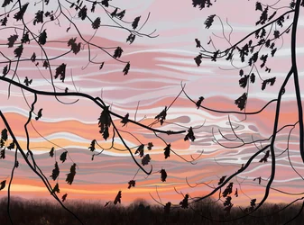 Egeblade og himmel, Brooklyn (digital kunst)