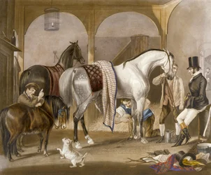 Clipper, graveret af J.R. Mackrell (farve litho)