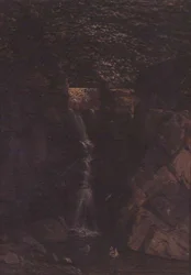 Vandfald i et skovlandskab