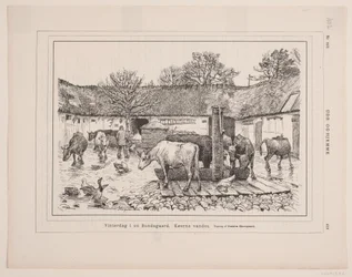 Vinterdag i en gård