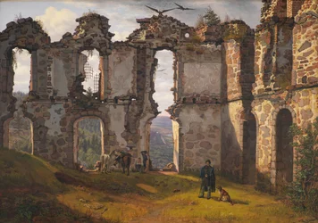Ruinerne af Brahehus nær Jönköping, Sverige