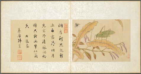 Album med diverse emner, blad 7, 1600-tallet.