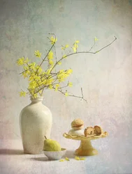 Dejlige gule forsythiaer