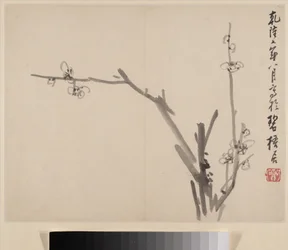 Album med blomstrende blommer
