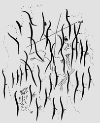 Parque, illustration fra 