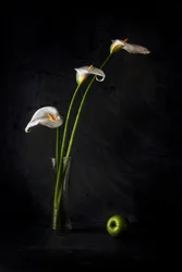 Calla-liljer og æble