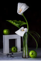 Calla-liljer, grønne æbler