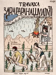 Inkariget: Et indiansk par fra Hatun Runa-klassen bearbejder jorden i januar - tuschtegning fra Don Felipe Puma de Ayalas manuskript «Nueva coronica y buen gobierno», der illustrerer inkaernes liv - 16. århundrede