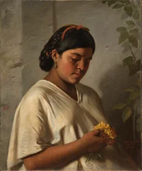 Indisk kvinde med morgenfrue, 1876
