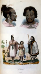 Antropologisk illustration, der viser maori-racen