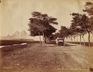 Cairo. Pyramidernes gyde