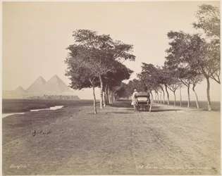 Kairo. Pyramidealléen