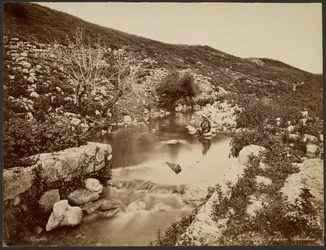 Elisas kilde, Palæstina