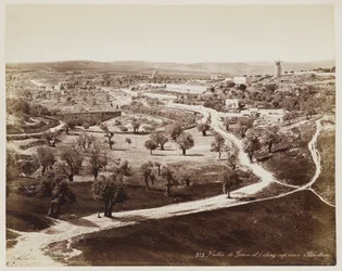 Dal i ... Palæstina #313