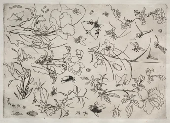 Middagsservice Rousseau-service: Blomster og insekter nr. 15, 1866.