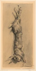 Garenne-kaninen