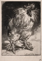 Den franske hane, 1893.