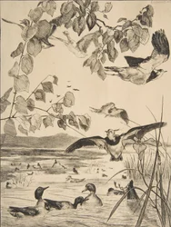 Viber og Sarcelles, 1862.