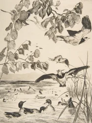 Viber og Sarcelles, 1862.
