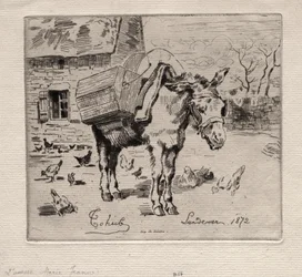 Muldyret, Marie-Jeanne
