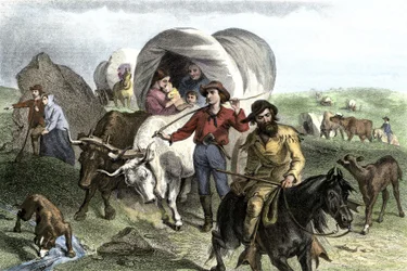 Historien om nybyggerne i West Conquete: Amerikanske pionerer. Flere familiers rejse over USA