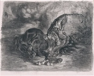 Vild hest fældet af en tiger