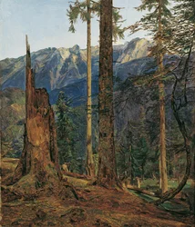 Höllengebirge nær Ischl