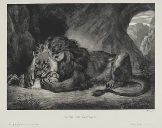 Løve fra Atlas, 1829