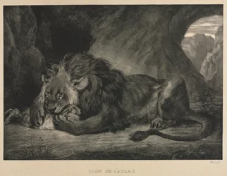 Løve af Atlas, 1829.