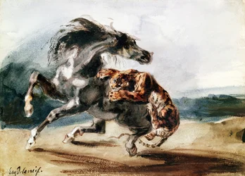 Tiger angriber en vild hest (pen & blæk og akvarel på papir)
