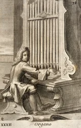 Mand spiller orgel
