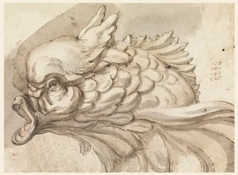 Tegning, hoved af en delfin, ca. 1775