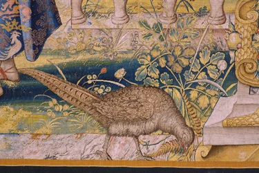 flamsk gobelin. Serien Vertumnus og Pomona: Vertumnus forvandlet til en landmand (Vertumnus som landmand, Vertumno transformado og landbruger). Studio Willem de Pannemaker. ca 1545-1550. Detalje.