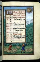 Ms 1058-1975 f.11r hyrde svin og bankende eg, oplyst kalenderside for november, fra en timebog, ca. 1500 (vellum)