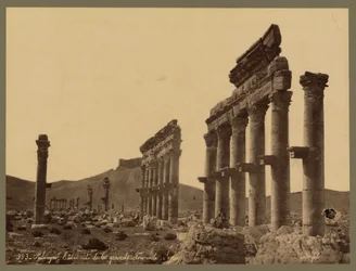 En del af den store søjlegang, Qalaat Ibn Maan Slot i det fjerne, Palmyra, ca. 1875 (albumin print)