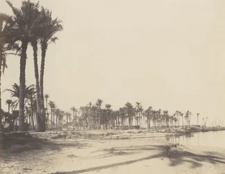 El-Nâcérah, Dattiers, Rives du Nil et Barques, 1851-52, trykt 1853-54.