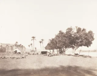 Korósko, Sycomores og Lejring af en Karavane for Sennâr, 1851-52, trykt 1853-54.