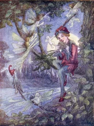 Peter Pan (farvelitografi)