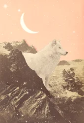 Giant Wolf in Pink Mountains, 2021 (collage)