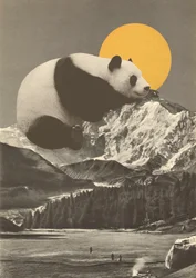 Pandas lur ind i bjergene