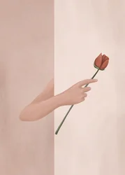 Hånd med en rose