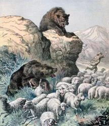 Bears of the Cagyre, 1891.