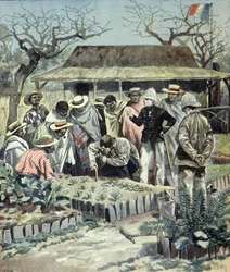 Franskmændene giver landbrugsundervisning til indfødte på Madagaskar i 1897 (kobberstik)