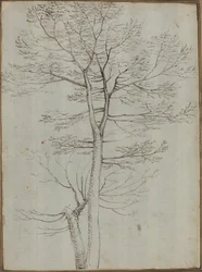 Bare træ [verso]