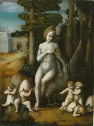 Leda og svanen