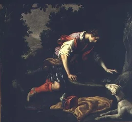 Narcissus ved springvandet