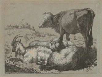 Stående okse, to får og en ged, ca. 1762.