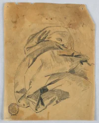 Draperi undersøgelse