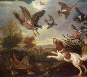 A Spaniel Flushing Mallard (olie på lærred)